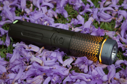 WILDTORCH