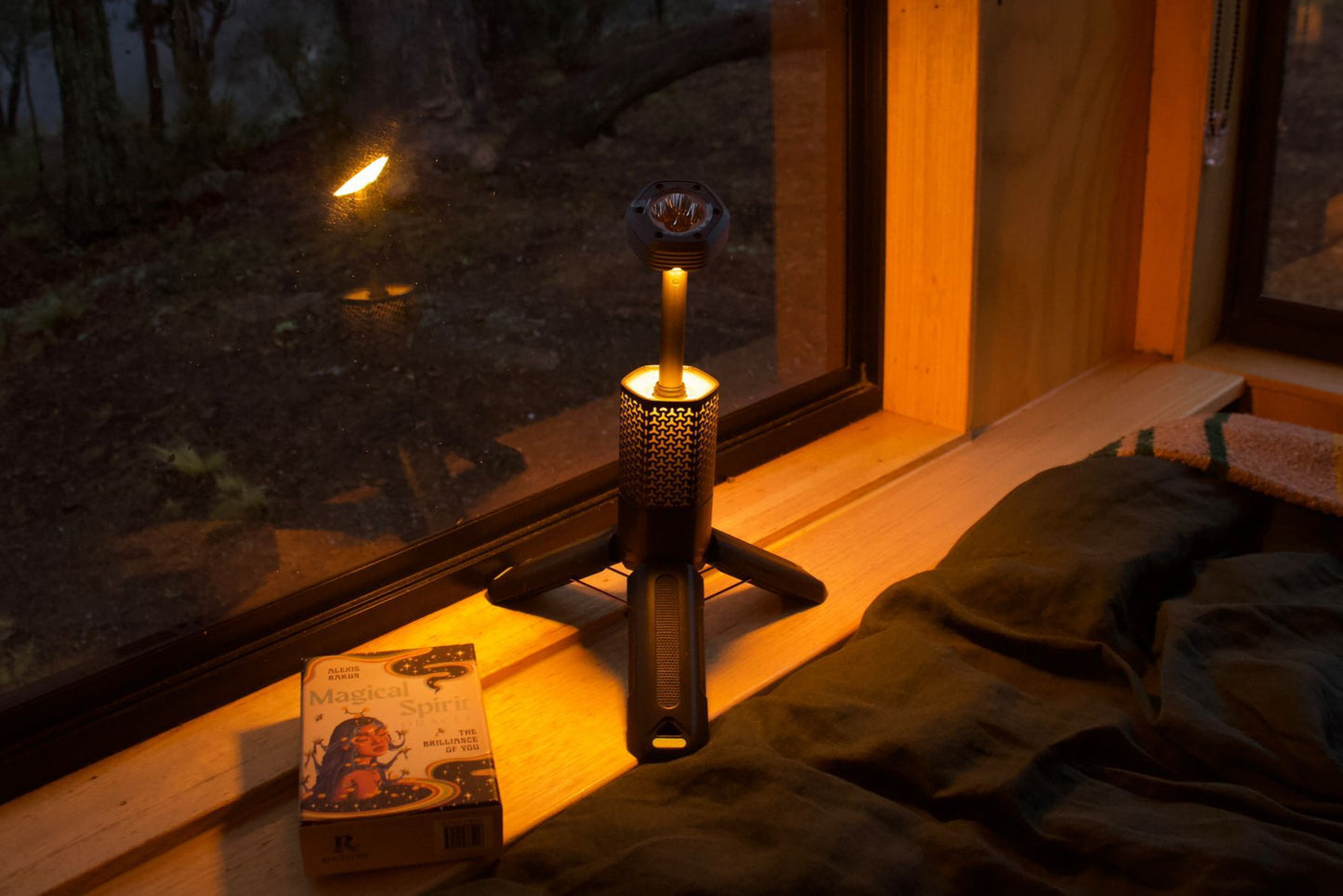 WILDTORCH
